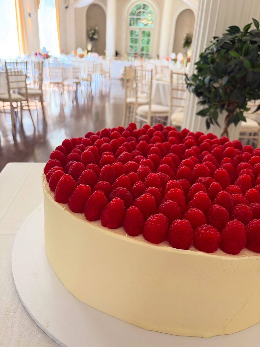 A cream cake topped with a full cover of fresh raspberries